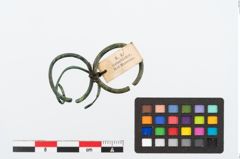 Foto von Bronzering (NHMW-PRAE-024694)